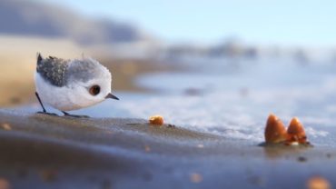 El fantástico corto “PIPER” de PIXAR